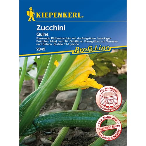 1 szt, Zucchini Quine F1 - Samen: Ilość w opakowaniu: 1 Stück