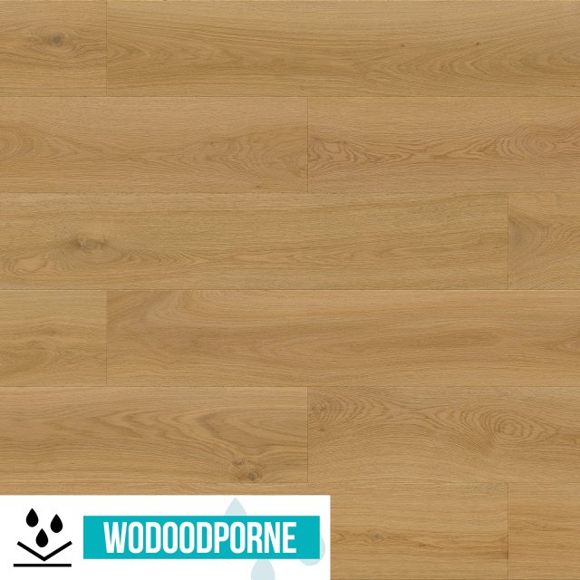 Panele winylowe SPC BARLINEK NAVARA OAK NATUR KL 34 5,5 mm