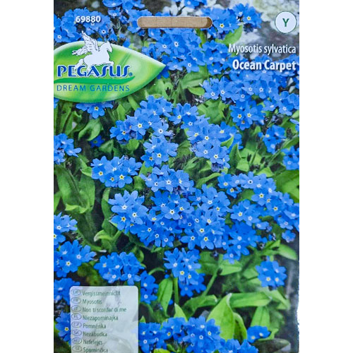 1 pac, Floare de nu mă uita Ocean Carpet - Semințe: Mod de ambalare: 1 pac