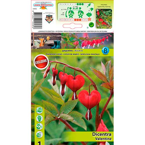 1 cib, Srdcovka nádherná Valentine - : Monžstvo balíkov: 1 cib