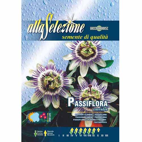 1 szt, Golgotavirág (Passiflora) - Magok: Mod de ambalare: 1 db