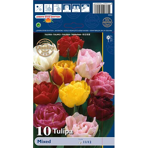10 Stück, Tulpe Double Late Mixed - Blumenzwiebeln: Ilość w opakowaniu: 10 Stück