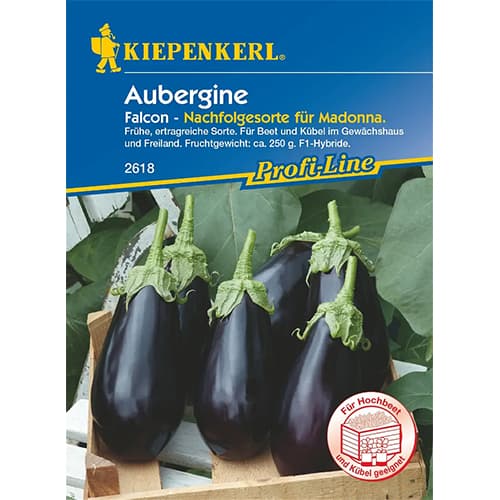 1 szt, Aubergine Falcon F1 - Samen: Ilość w opakowaniu: 1 Stück