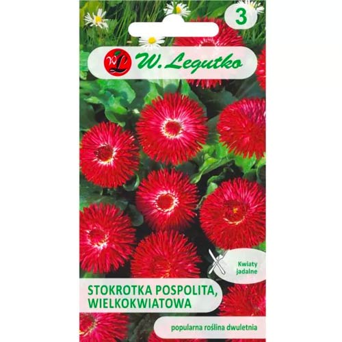 1 szt, Stokrotka Gracja czerwona - Nasiona: Ilość w opakowaniu: 0.1 g
