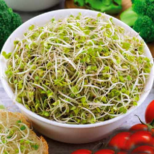 1 pac, Germeni Broccoli - Semințe: Mod de ambalare: 10 g