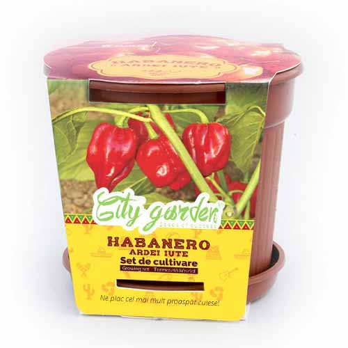 1 pac, Set de cultivare - Ardei iute Mexican Habanero Red - Semințe: Mod de ambalare: 1 pac