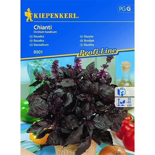 1 szt, Basilikum Chianti - Samen: Ilość w opakowaniu: 1 Stück