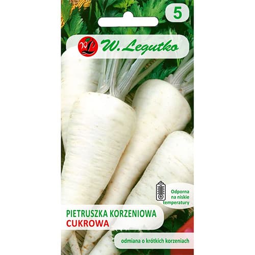 1 szt, Pastinake früh - Samen: Ilość w opakowaniu: 5 g