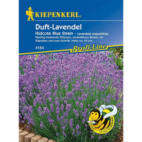 Levanduľa lekárska Hidcote Blue Strain - : Monžstvo balíkov: 1 ob