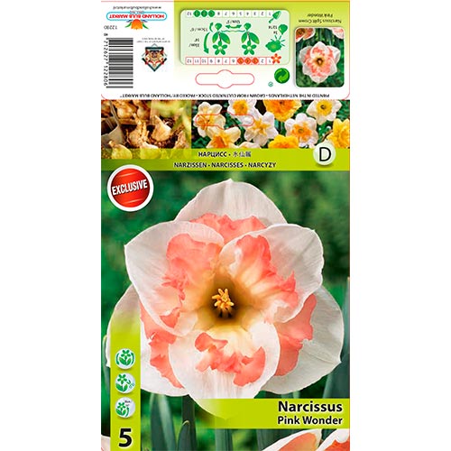 5 kus, Narcis Pink Wonder - : Monžstvo balíkov: 5 kus
