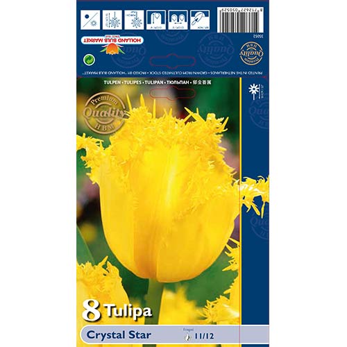 8 kus, Tulipán Crystal Star - : Monžstvo balíkov: 8 kus