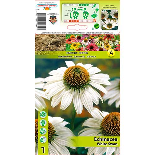 1 cib, Třapatka (Echinacea) White Swan - : Monžstvo balíkov: 1 cib