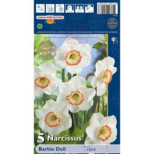 5 kus, Narcis Barbie Doll - : Monžstvo balíkov: 5 kus