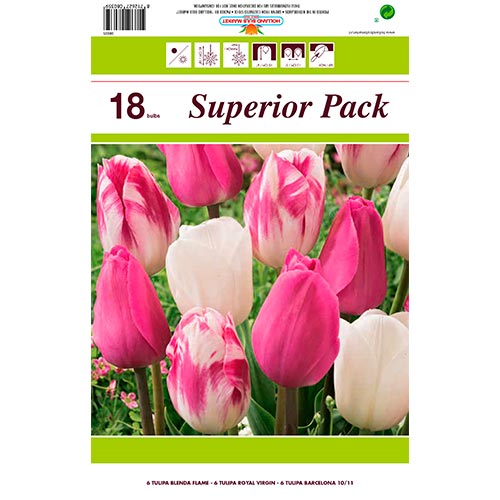 Sada tulipánov Ranné svitanie - : Monžstvo balíkov: 18 cib