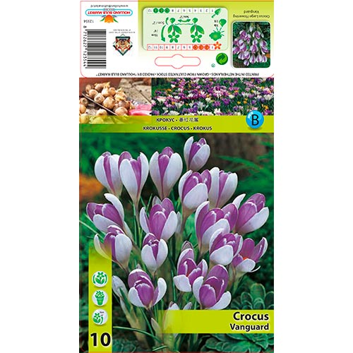 10 cib, Šafran Vanguard - : Monžstvo balíkov: 10 cib