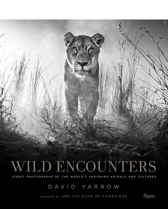 Wild Encounters
