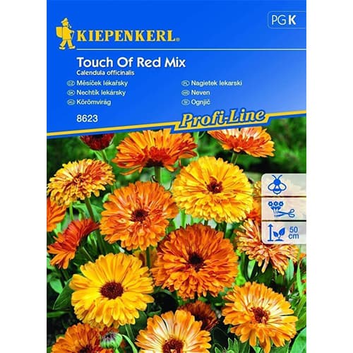 Nechtík lekársky Touch Of Red, zmes - : Monžstvo balíkov: 1 ob