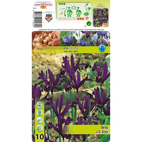 10 cib, Kosatec J.S. Dijt - : Monžstvo balíkov: 10 cib