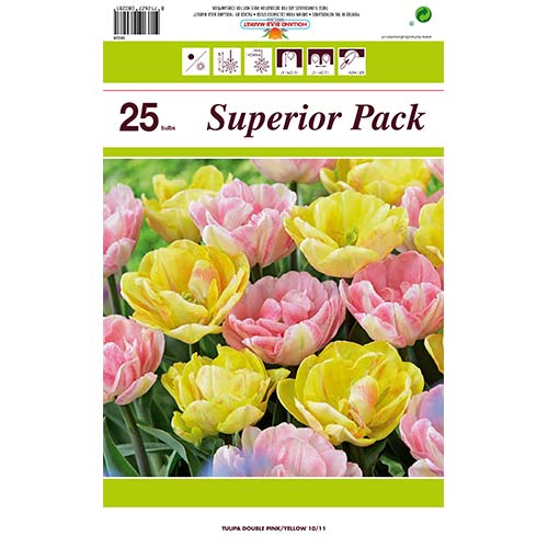 Sada tulipánov z 2 odrôd - : Monžstvo balíkov: 25 cib