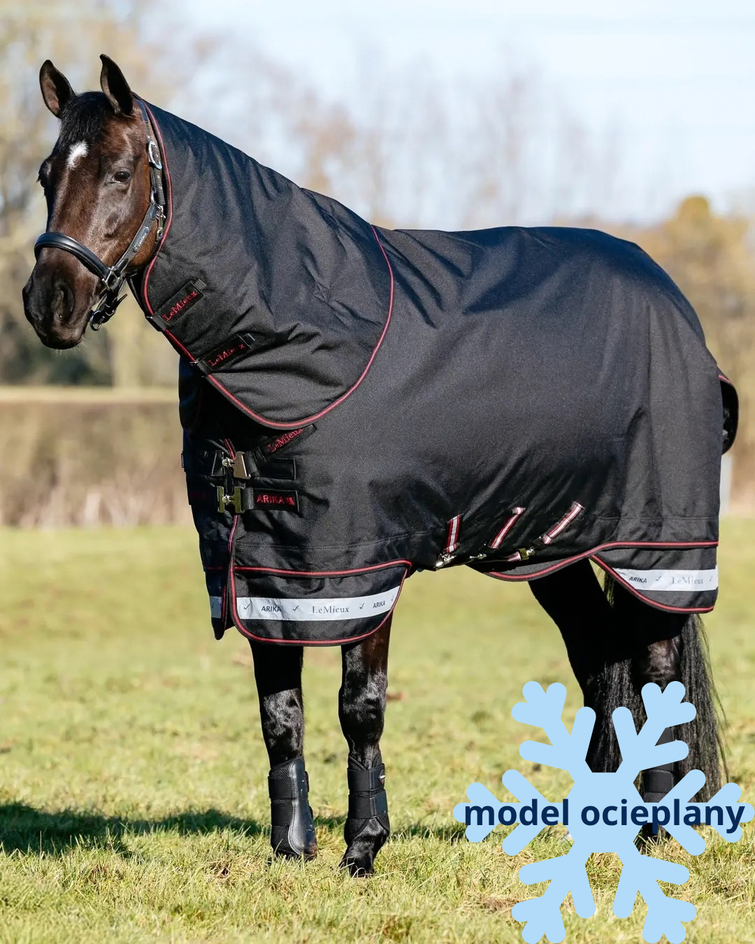 Lemieux Arika Storm-Tek derka padokowa z kapturem 50g Black