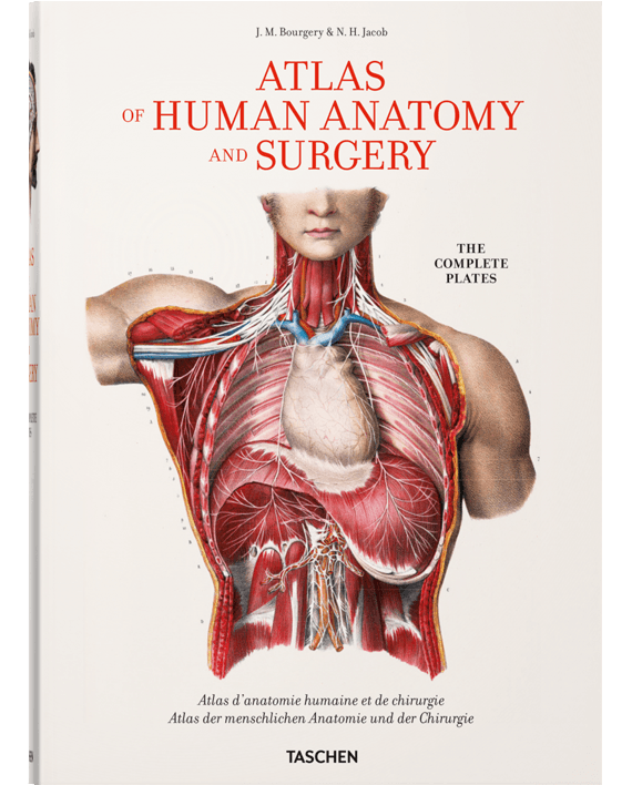 Bourgery. Atlas of Human Anatomy and Surgery
