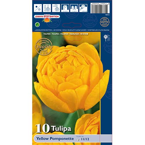 Tulipan pełny Yellow Pomponette - Cebule: Ilość w opakowaniu: 10 szt. - GradinaMax