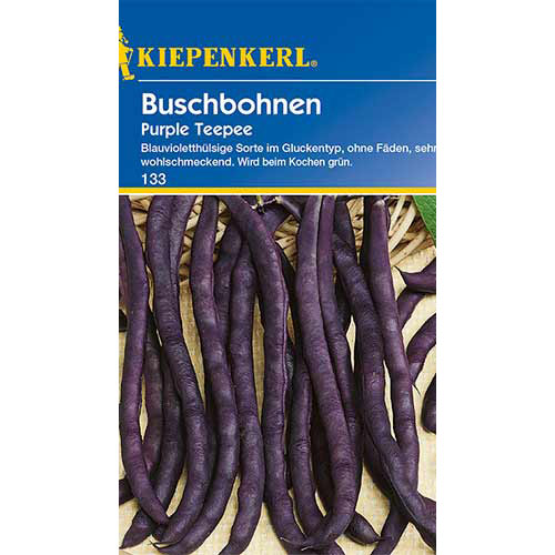 1 pac, Fasole Purple Teepee Kiepenkerl - Semințe: Mod de ambalare: 1 pac