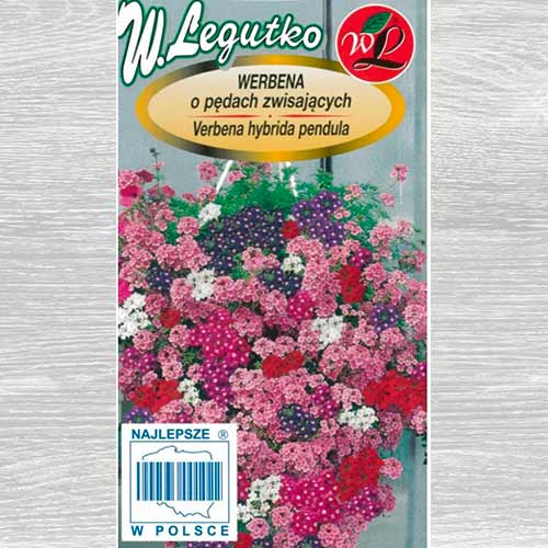 1 pac, Verbena curgătoare, mix multicolor Legutko - Semințe: Mod de ambalare: 0.3 g