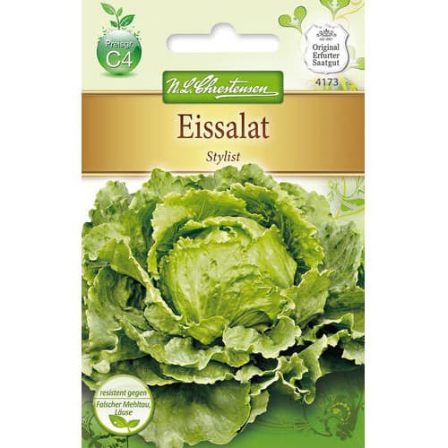1 szt, Eissalat Stylist - Samen: Ilość w opakowaniu: 1 Stück
