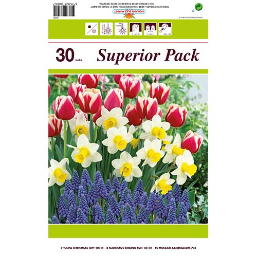 Super oferta! Tulipan Christmas Gift, Narcyz Smiling Sun, Szafirek armeński, zestaw 30 cebul - Cebule: Ilość w opakowaniu: 30 szt.