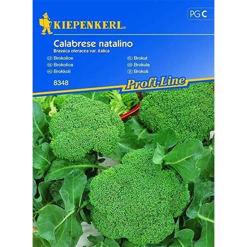 1 ob, Brokolice Calabrese natalino - : Monžstvo balíkov: 1 ob