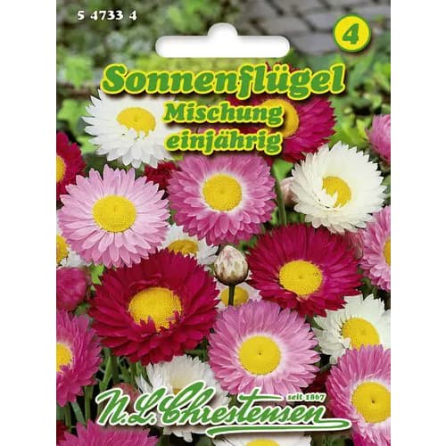 1 szt, Szalmarózsa Sun Wing, színkeverék - Magok: Mod de ambalare: 1 db
