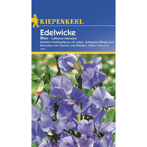 1 szt, Edelwicke Blau - Samen: Ilość w opakowaniu: 1 Stück